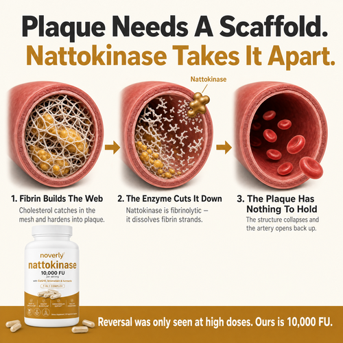 Max Potency Nattokinase 10,000 FU - Circulation Support