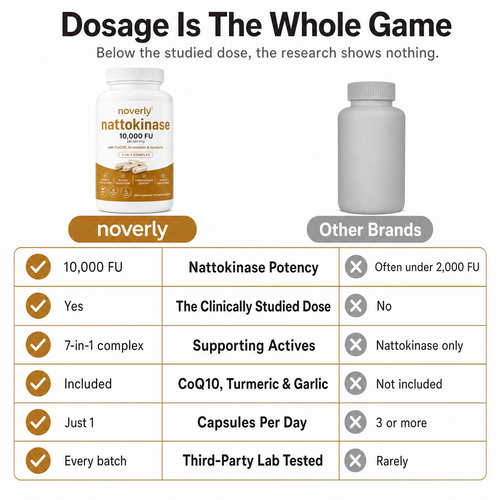 Max Potency Nattokinase 10,000 FU - Circulation Support